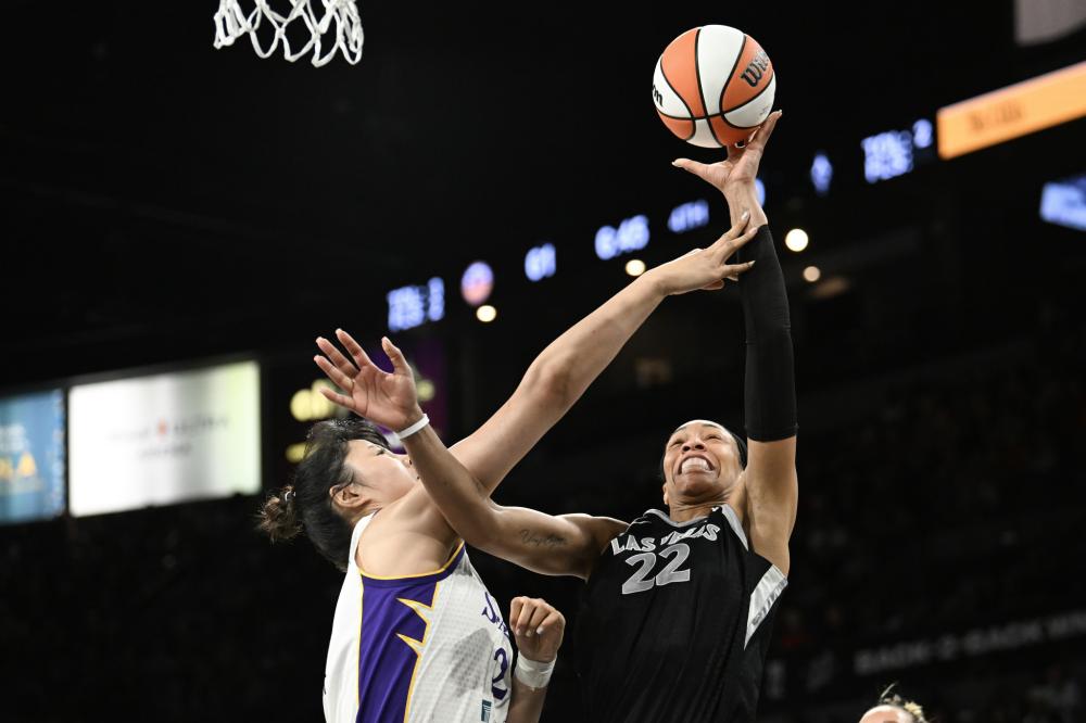 场地条件 场地条件